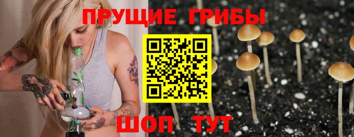 Ефремов  Галлюциногенные грибы MAGIC MUSHROOMS  купить наркотики цена  Вход с VPN  Псилоцибиновые грибы MAGIC MUSHROOMS 