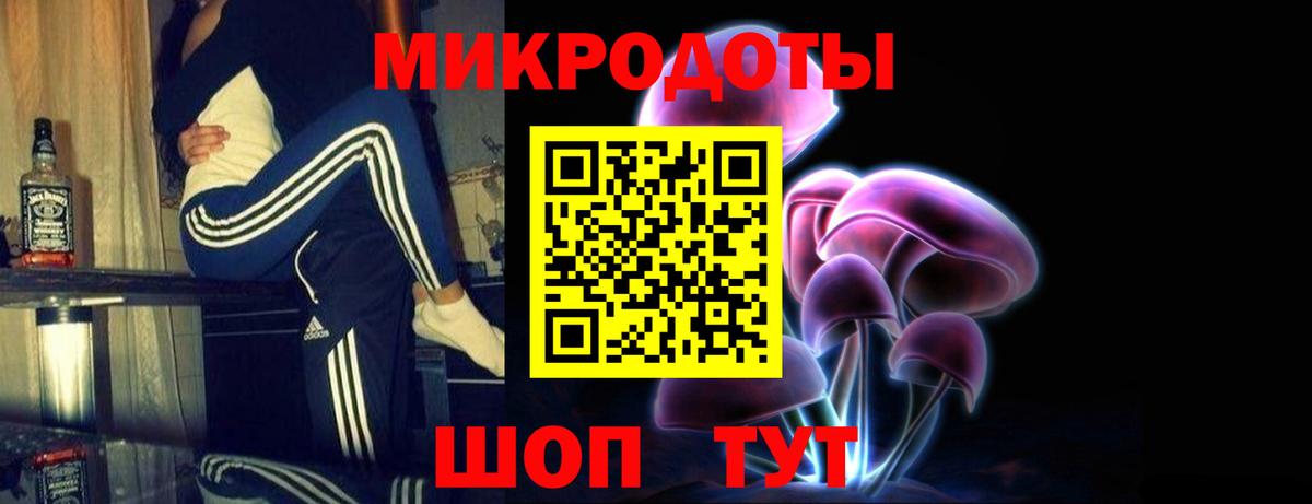 Галлюциногенные грибы Psilocybe Ефремов